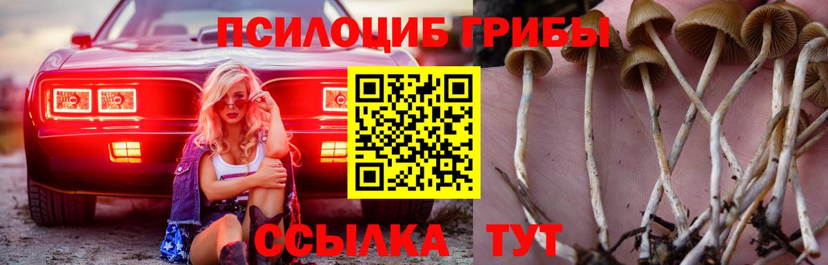 Галлюциногенные грибы мицелий  Галлюциногенные грибы MAGIC MUSHROOMS  даркнет сайт  Вход с VPN  Ржев 